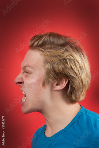 The Scream