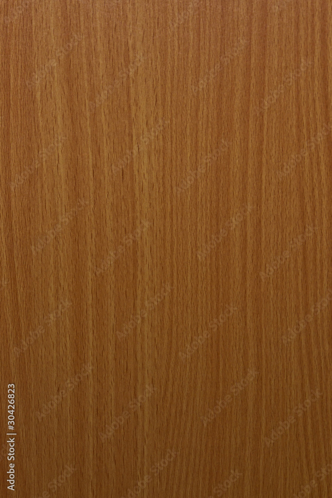 Obraz premium Wood background
