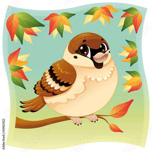 Funny little sparrow on a b...