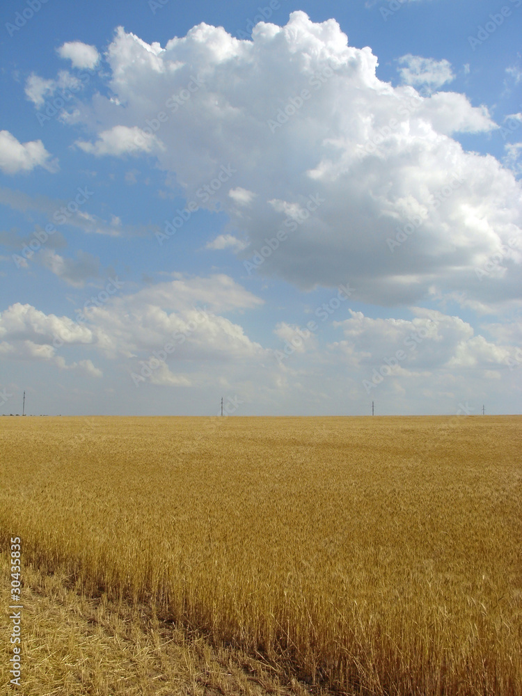 countryside background countryside background