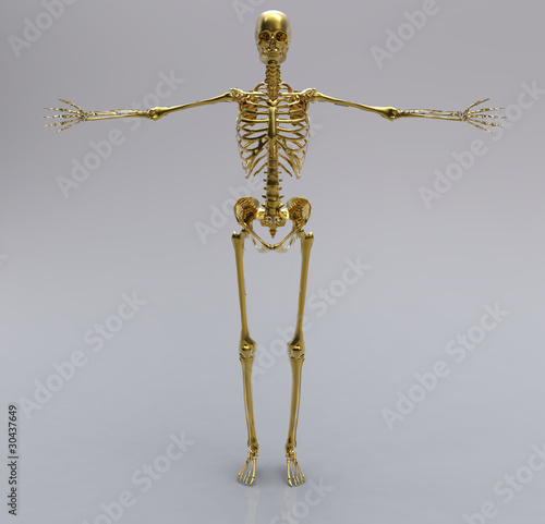 Human gold skeleton