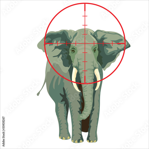 elephant target