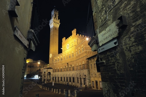 Siena - The Town Hall photo