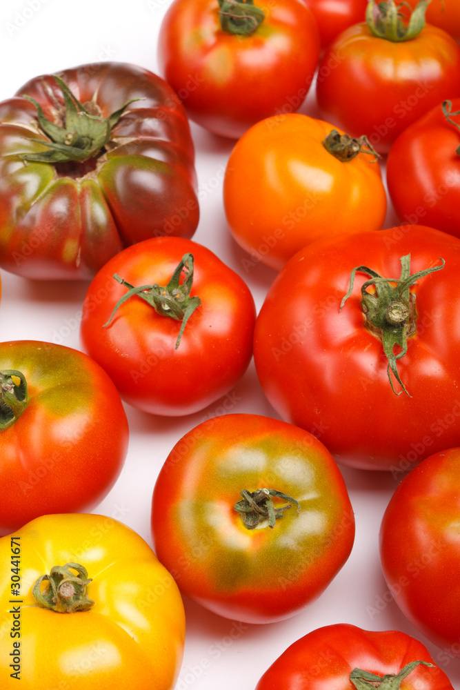 fresh tomatoes fresh tomatoes