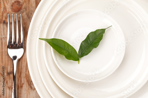 leaves on the white plates