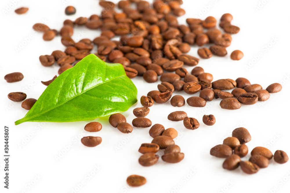 Coffee beans and green leaf of coffee plant on white Coffee beans and green leaf of coffee plant on white