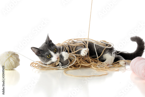 Fototapeta Naklejka Na Ścianę i Meble -  Messing with Yarn