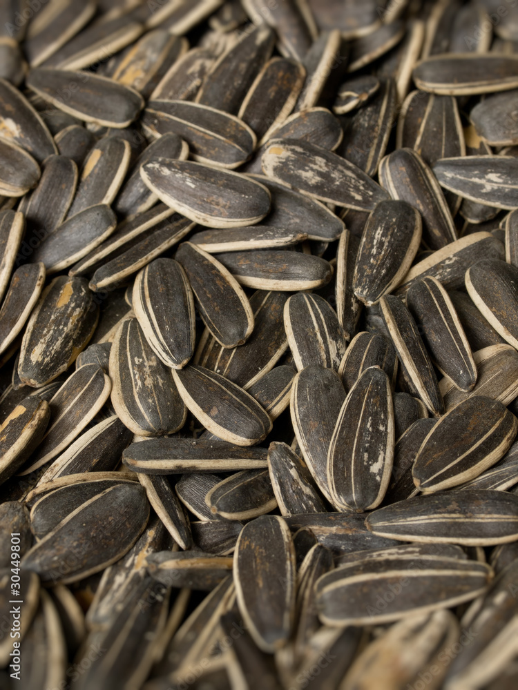 sunflower seeds