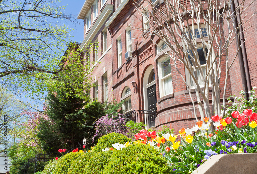 Spring Flowers Richardsonian Romanesque Row Houses