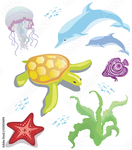 Set of sea animals on a white background