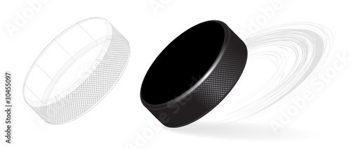 Hockey Puck