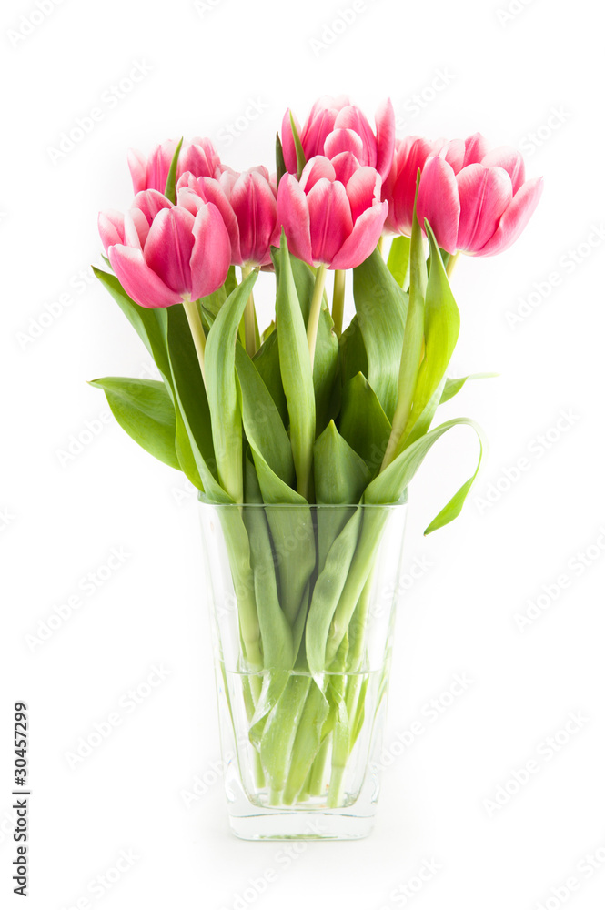 Tulips Tulips
