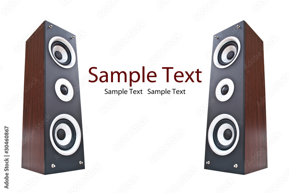 Fototapeta premium Wood loudspeaker isolate on the white.
