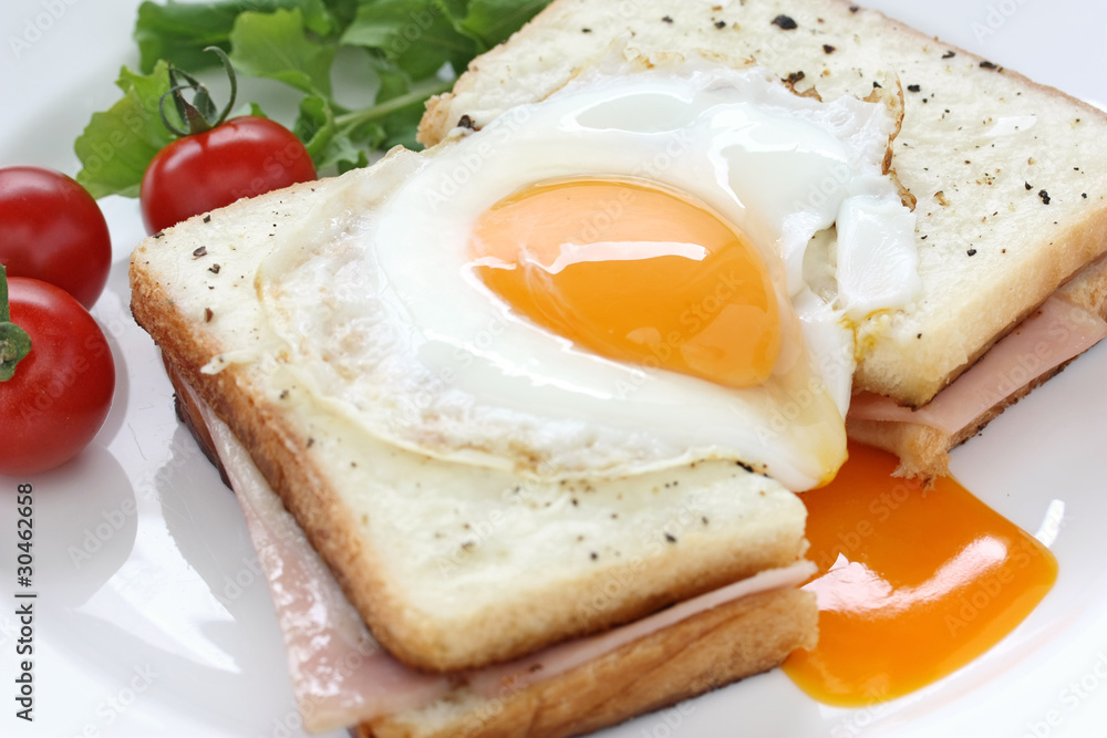 croque madame , french ham and cheese sandwich with fried egg croque madame , french ham and cheese sandwich with fried egg