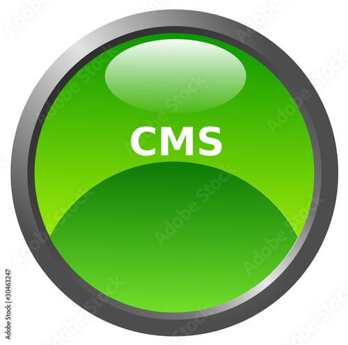 CMS glossy icon