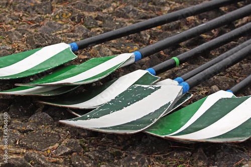 Oars laid out on a quay