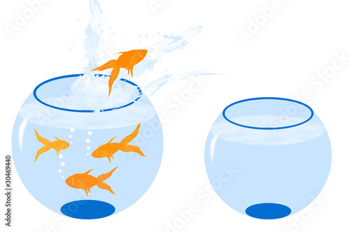 pesce copia con 2 bocce