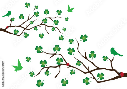 vector branches with shamrock and green birds