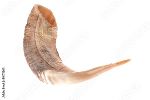 ram horn ( shofar )