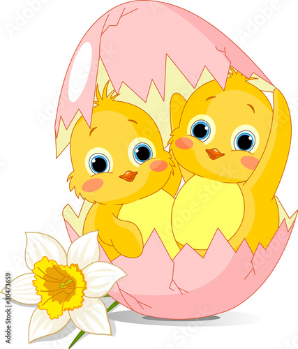 Two Easter chickens hatched from egg