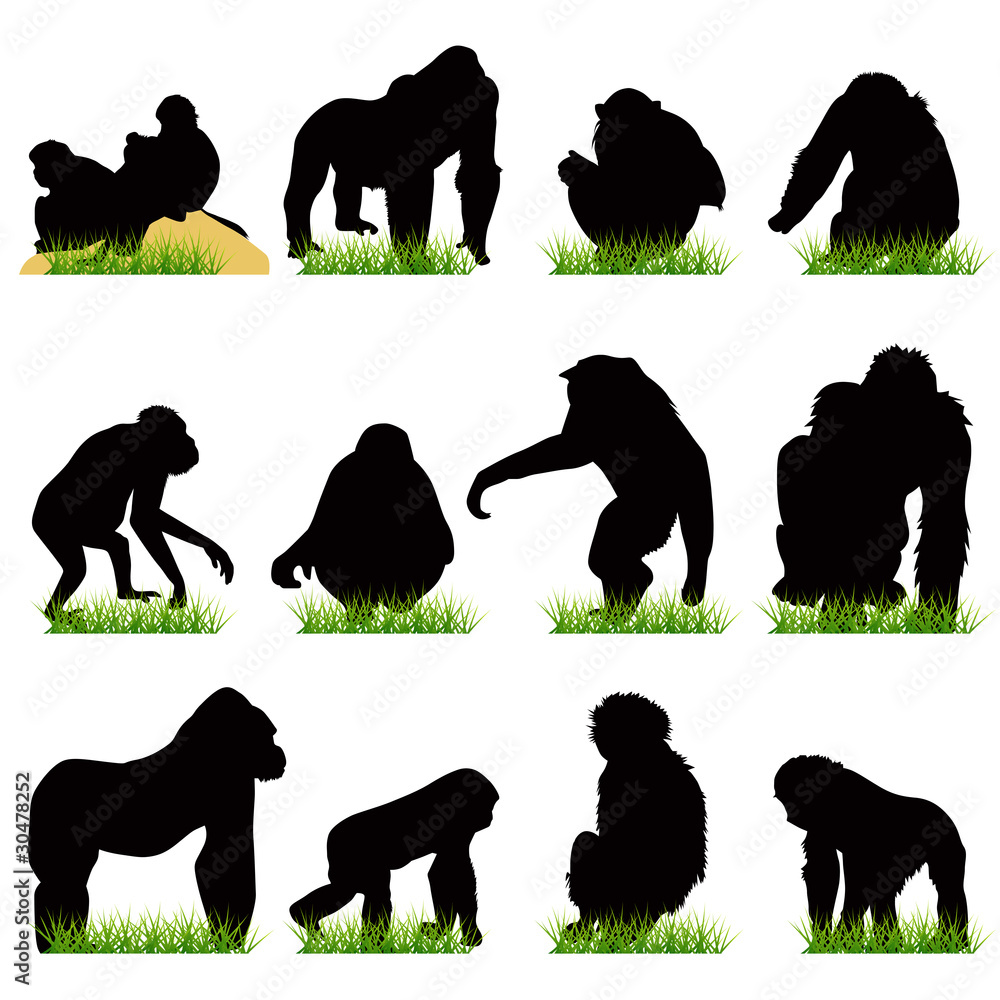 Naklejka premium Monkeys silhouettes set
