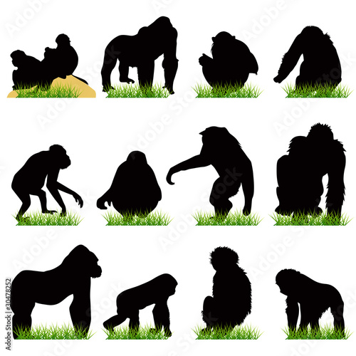 Monkeys silhouettes set