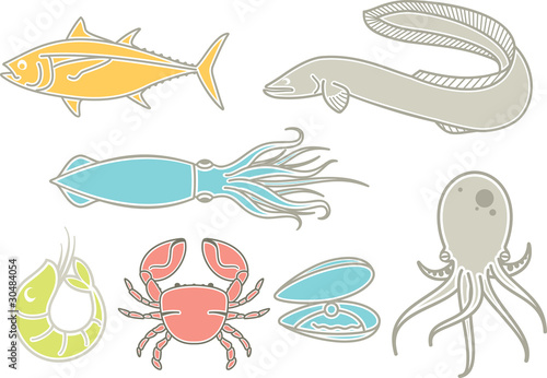 A set of most popular types of seafood