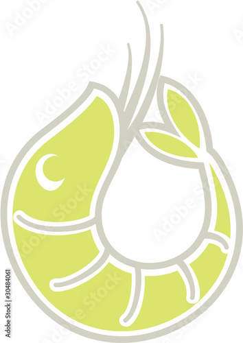 Shrimp symbol