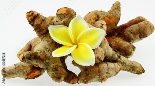 rhizome de curcuma longa, safran pays, île de la Réunion photo