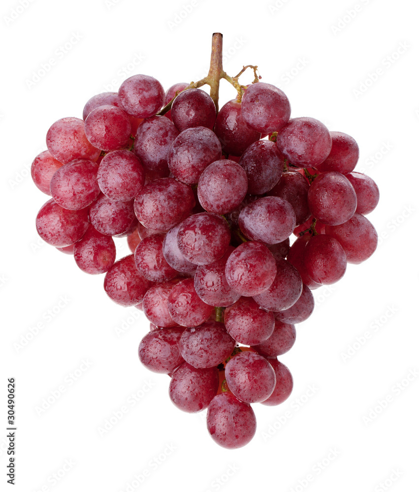 Fresh red grapes branch