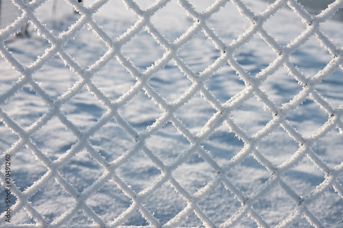 Detail of barbwire covered by snow