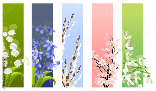 Collection of spring flowers isolated on white background