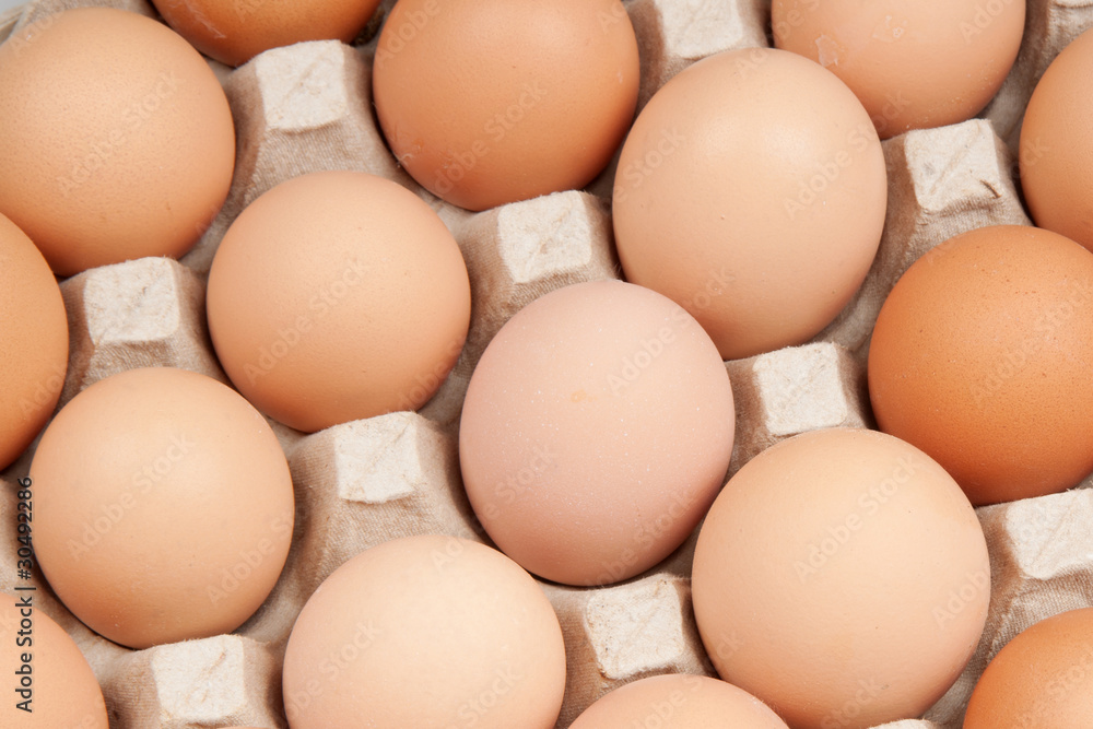 eggs eggs
