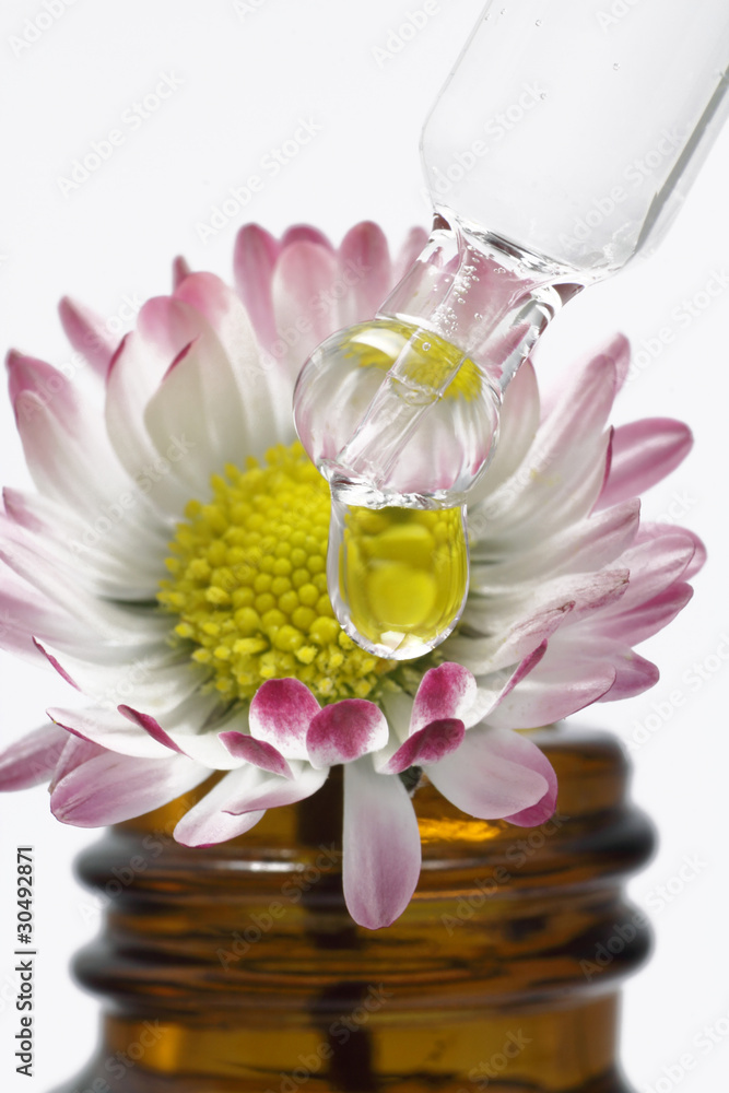 tropfen vor blüte tropfen vor blüte