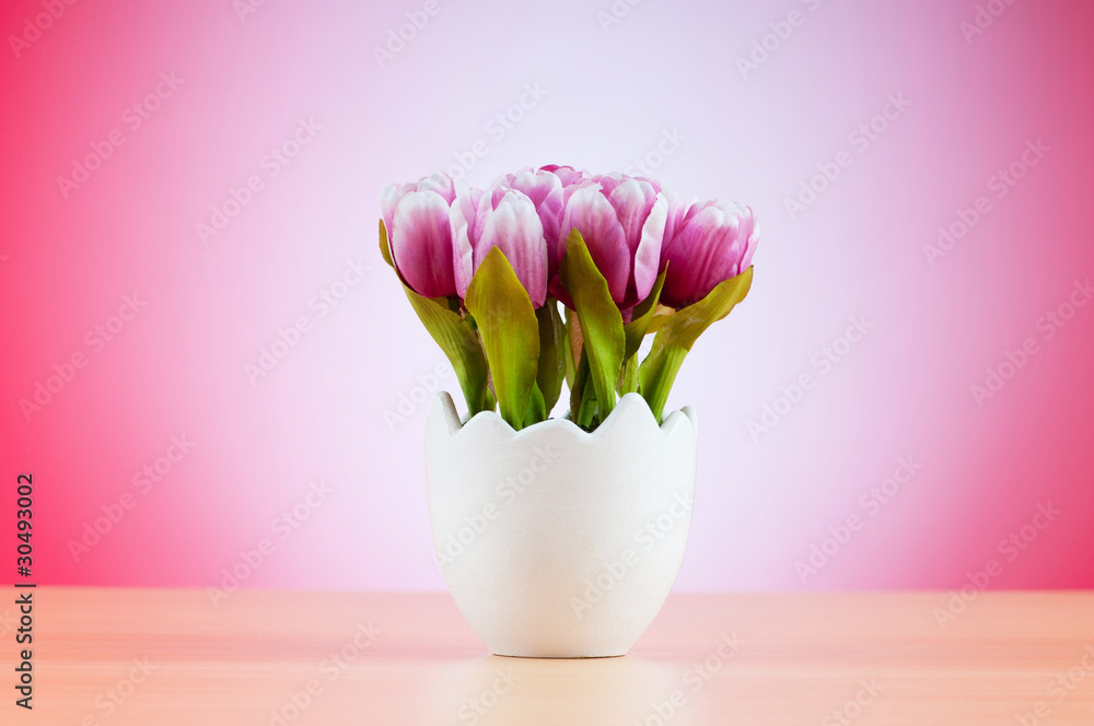 Obraz premium Colorful tulip flowers in the white pot