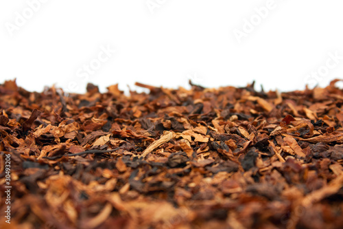 Fotografie Dry tobacco