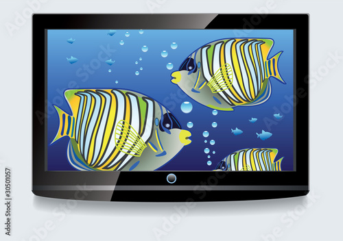 vector illustration of LCD screen with colorful fishes