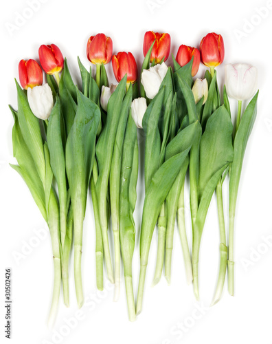 bouquet of red tulips