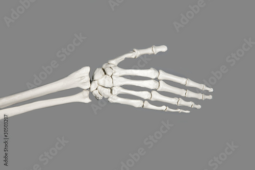 Skelett Hand