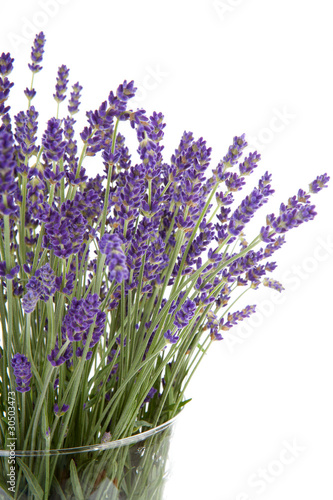 Fototapeta Naklejka Na Ścianę i Meble -  Plucked lavender in glass vase over white background