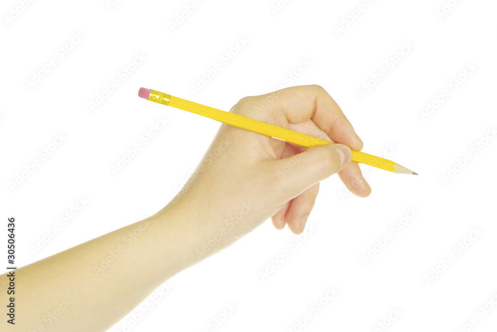 pencil in hand pencil in hand