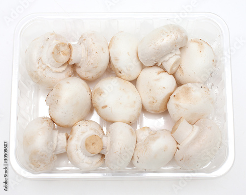 champignons in a plastic box