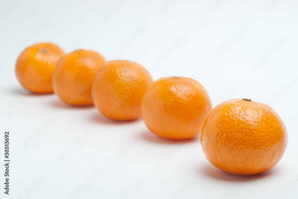 Tangerine in front in focus with blurred row in back on white Tangerine in front in focus with blurred row in back on white