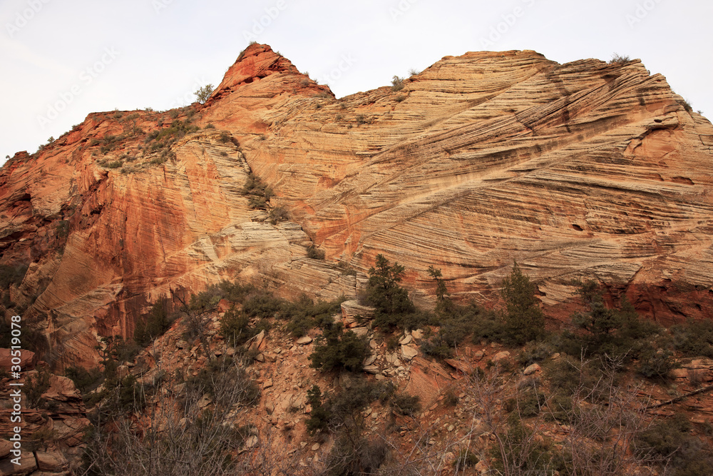Fototapeta premium Checkerboard Mesa Zion Canyon National Park Utah