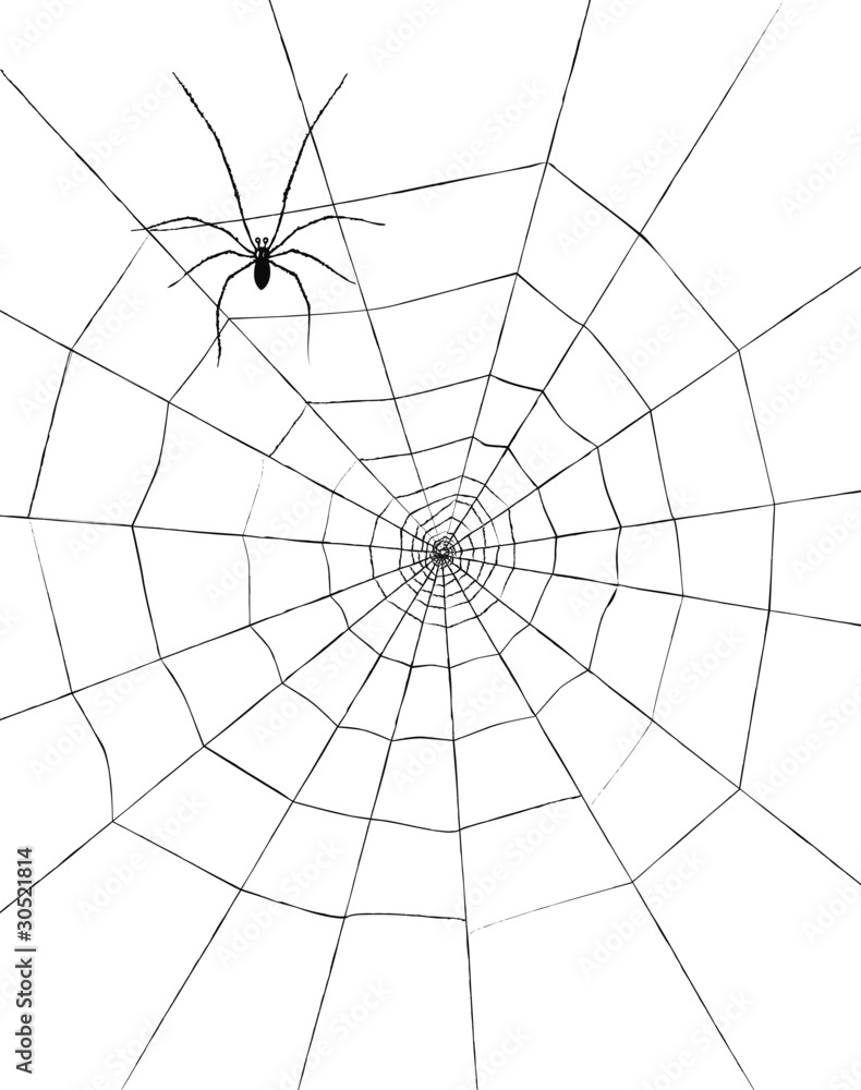 Obraz premium ARAIGNƒE