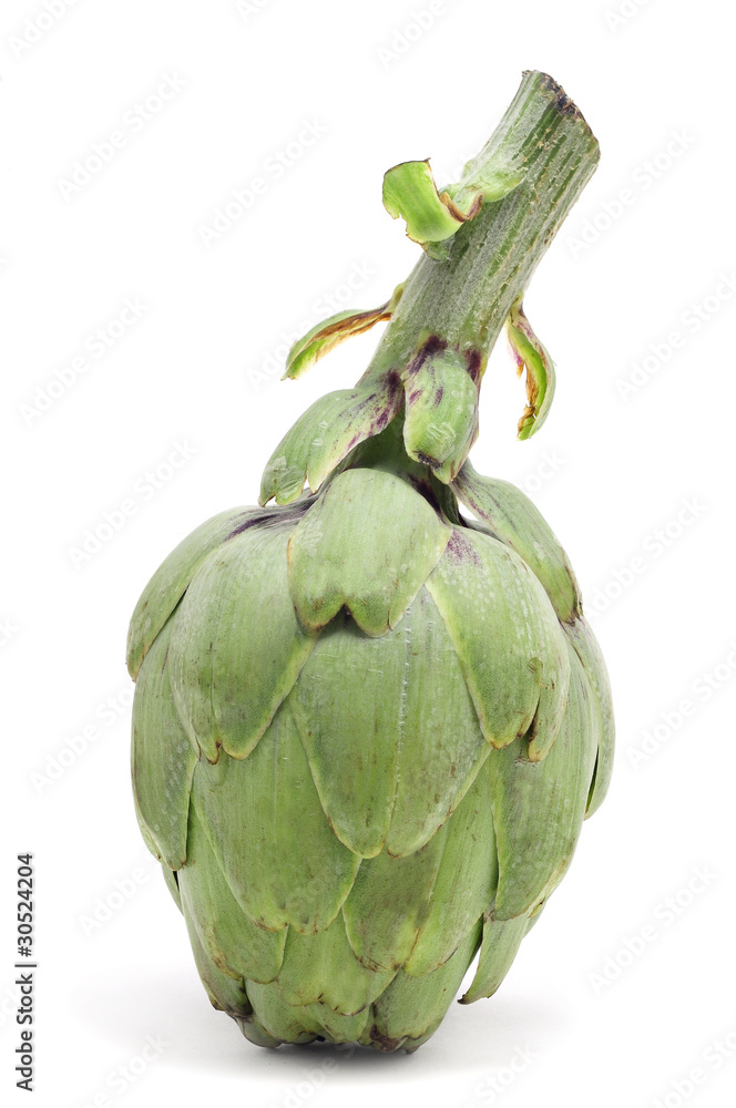 Fototapeta premium artichoke