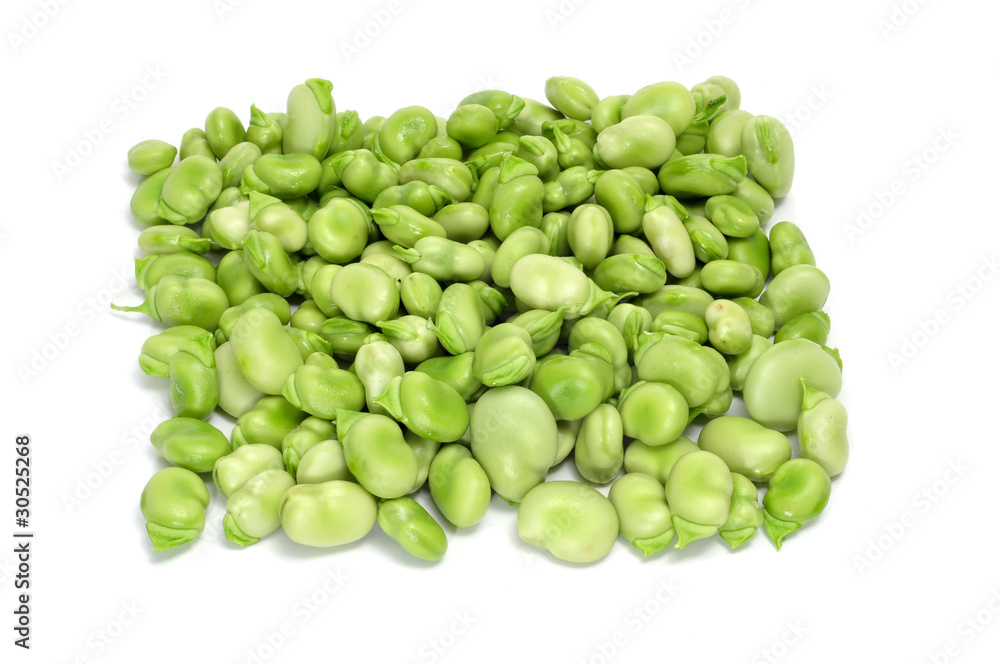 broad beans broad beans