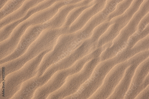 Sand Ripples Background