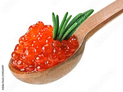 Red salmon caviar heap in wooden spoon with rosemary leaf photo