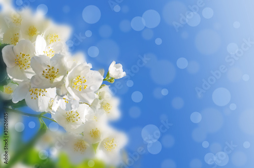 Spring abstract background.